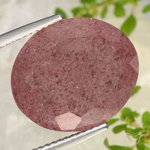 Quartz Fraise Rouge foncé naturelle ovale, 13.91 ct, Translucide