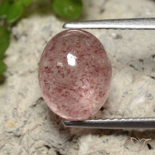 3.71ct Naturel Rose moyen Quartz fraise, ovale, Translucide