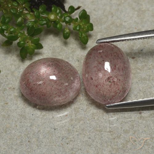 6.34ctw Naturel Rose moyen Quartz fraise, ovale, Translucide