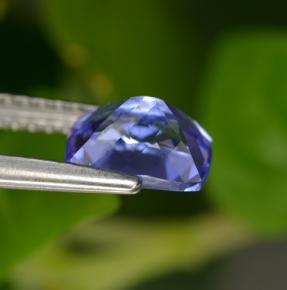 Tanzanite violet naturelle coupe coussin, 1,13 ct, VVS
