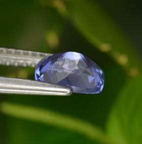 Tanzanite bleue naturelle coupe coussin, 0,90 ct, VVS-VS