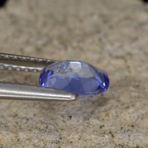 Tanzanite violet naturelle coupe coussin, 0,84 ct, VVS
