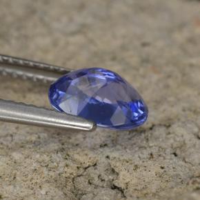 Tanzanite bleue naturelle coupe ovale, 1,42 ct, VS