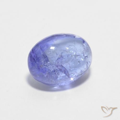 Tanzanite Bleu violet intense naturelle ovale, 1.51 ct, Transparent