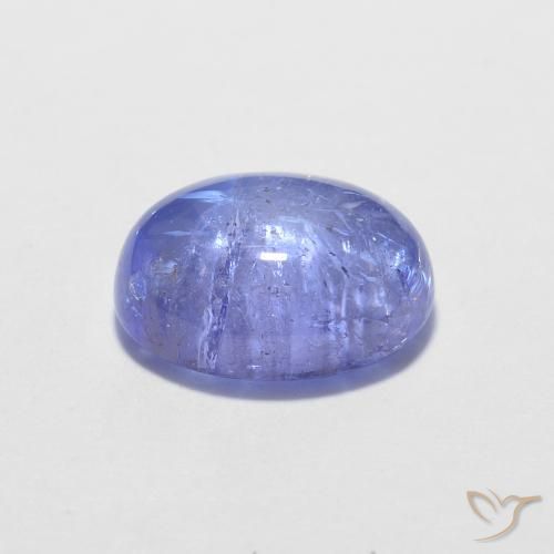 Tanzanite Bleu violet intense naturelle ovale, 1.56 ct, Transparent