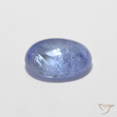 Tanzanite Bleu violet intense naturelle ovale, 1.37 ct, Transparent