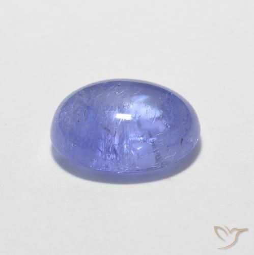Tanzanite Bleu violet intense naturelle ovale, 1.64 ct, Transparent