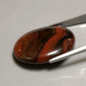 Tiger's eye matrix multicolore naturelle coupe ovale, 41,60 ct, opaque