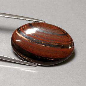 Tiger's eye matrix multicolore naturelle coupe ovale, 35,01 ct, opaque