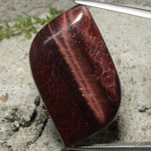 49.22ct Naturel Brun Oeil de Tigre Matrice, Fantaisie, Opaque