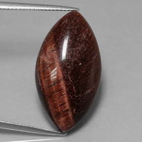 Tiger's eye matrix multicolore naturelle marquise, 21,56 ct, opaque