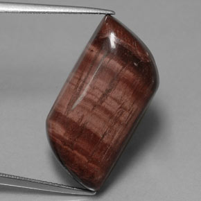 Tiger's eye matrix multicolore naturelle forme fantaisie, 21,51 ct, opaque