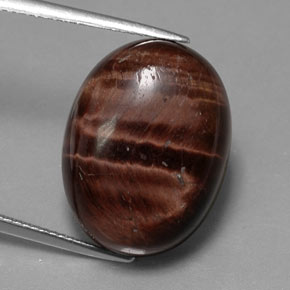 Tiger's eye matrix multicolore naturelle coupe ovale, 21,49 ct, opaque