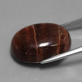 Tiger's eye matrix multicolore naturelle coupe ovale, 21,49 ct, opaque