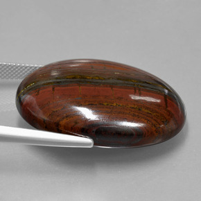 Oeil de Tigre Matrice Multicolore naturelle Coupe ovale, 49.03 ct, Opaque