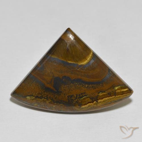 34.44ct Naturel Multicolore Oeil de Tigre Matrice, Trillion, Opaque
