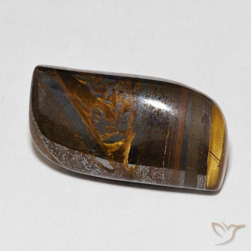 33.73ct Naturel Marron chaud Oeil de Tigre Matrice, Fantaisie, Opaque