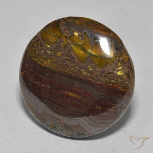 Oeil de Tigre Matrice Multicolore naturelle Tour, 34.30 ct, Opaque