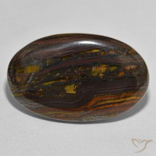 46.95ct Naturel Multicolore Oeil de Tigre Matrice, ovale, Opaque