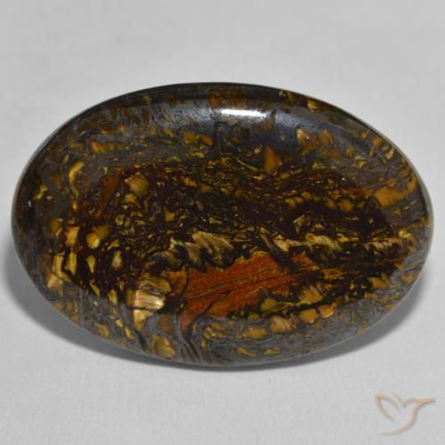 45.55ct Naturel Multicolore Oeil de Tigre Matrice, ovale, Opaque