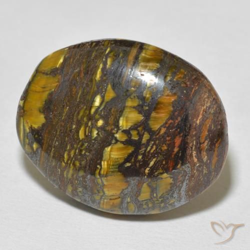 Oeil de Tigre Matrice Multicolore naturelle ovale, 36.37 ct, Opaque
