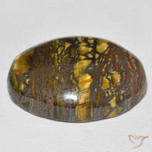 Oeil de Tigre Matrice Multicolore naturelle ovale, 36.37 ct, Opaque