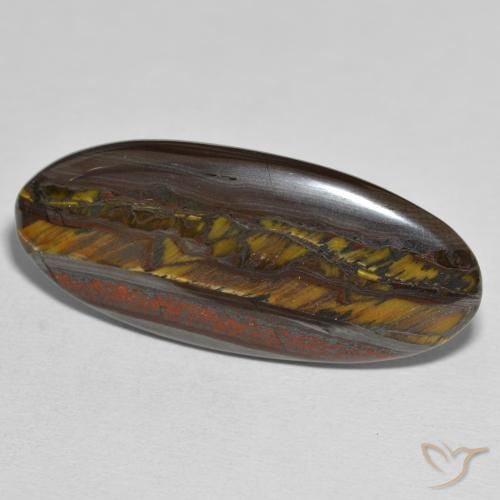 Oeil de Tigre Matrice Multicolore naturelle ovale, 31.43 ct, Opaque