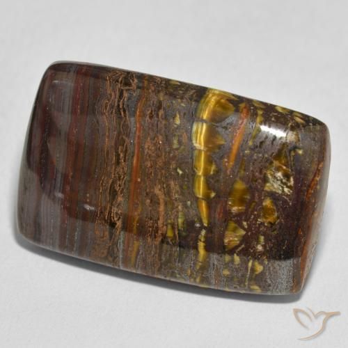 Oeil de Tigre Matrice Multicolore naturelle Coussin, 48.44 ct, Opaque
