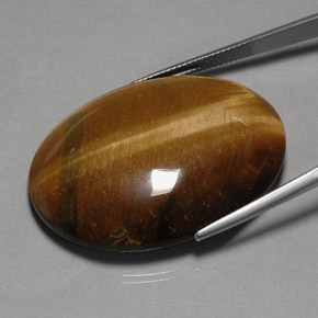 Tiger's eye marron naturelle coupe ovale, 75,77 ct, opaque