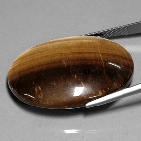 Tiger's eye marron naturelle coupe ovale, 75,05 ct, opaque