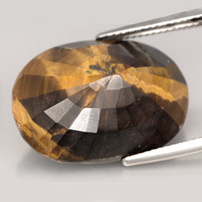Tiger's eye marron naturelle coupe ovale, 23,17 ct, opaque