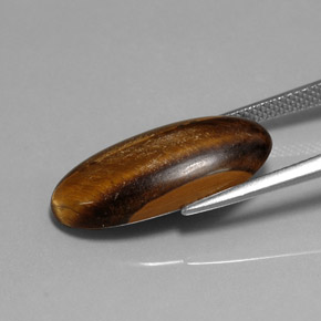 Oeil de Tigre Or Brun naturelle Coupe ovale, 10.15 ct, Opaque