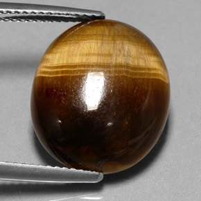 Tiger's eye marron naturelle coupe ovale, 11,35 ct, opaque