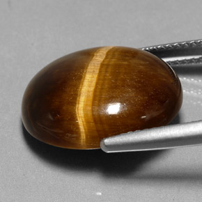Tiger's eye marron naturelle coupe ovale, 11,35 ct, opaque