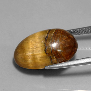 Tiger's eye marron naturelle coupe ovale, 12,90 ct, opaque