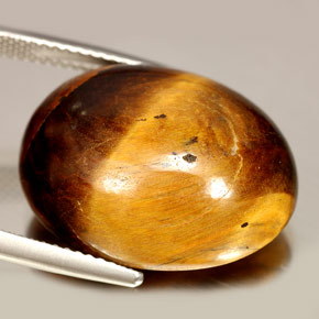 Oeil de Tigre Or Brun naturelle Coupe ovale, 24.55 ct, Opaque