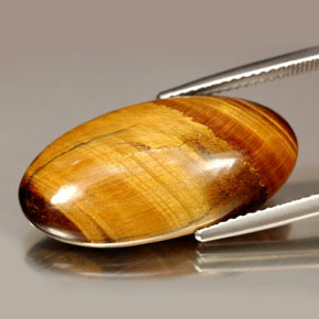 Oeil de Tigre Or Brun naturelle Coupe ovale, 14.67 ct, Opaque