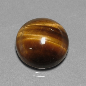 Œil de tigre marron naturelle coupe roude, 12,20 ct, opaque