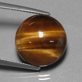 Œil de tigre marron naturelle coupe roude, 12,20 ct, opaque
