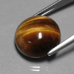 Œil de tigre marron naturelle coupe roude, 12,20 ct, opaque