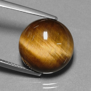 Tiger's eye marron naturelle coupe roude, 11,12 ct, opaque