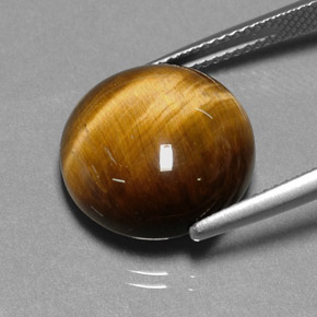 Tiger's eye marron naturelle coupe roude, 11,12 ct, opaque