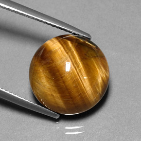 Oeil de Tigre Or Brun naturelle Coupe roude, 11.83 ct, Opaque