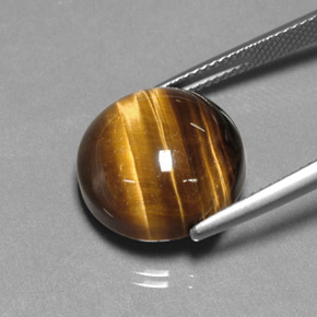 Oeil de Tigre Or Brun naturelle Coupe roude, 12.84 ct, Opaque
