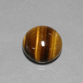 Tiger's eye marron naturelle coupe roude, 11,77 ct, opaque