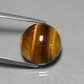 Tiger's eye marron naturelle coupe roude, 11,77 ct, opaque
