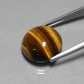 Tiger's eye marron naturelle coupe roude, 11,77 ct, opaque