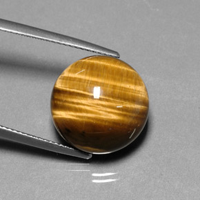 Oeil de Tigre Or Brun naturelle Coupe roude, 13.37 ct, Opaque