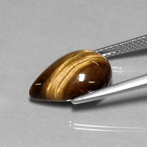 Tiger's eye marron naturelle en forme de poire, 5,17 ct, opaque