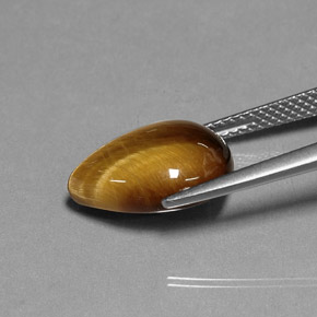 Tiger's eye marron naturelle en forme de poire, 5,16 ct, opaque